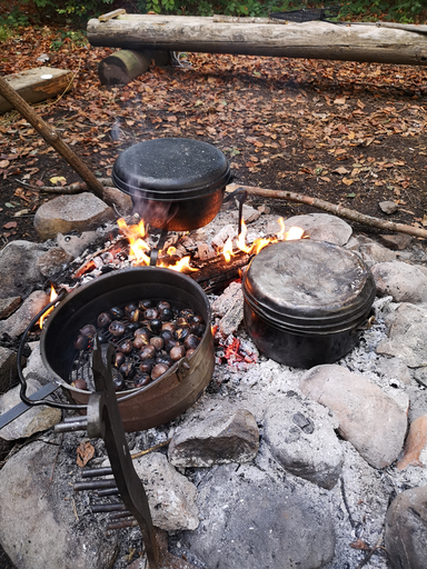 Waldschmaus; Marroni