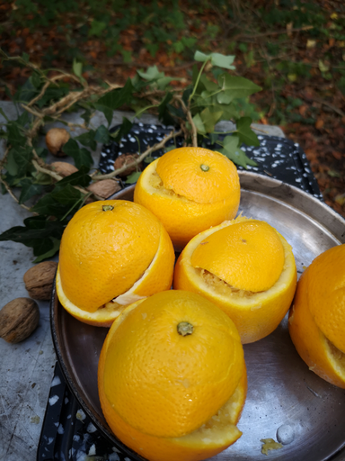 Waldschmaus; mit Couscous gefüllte Orangen