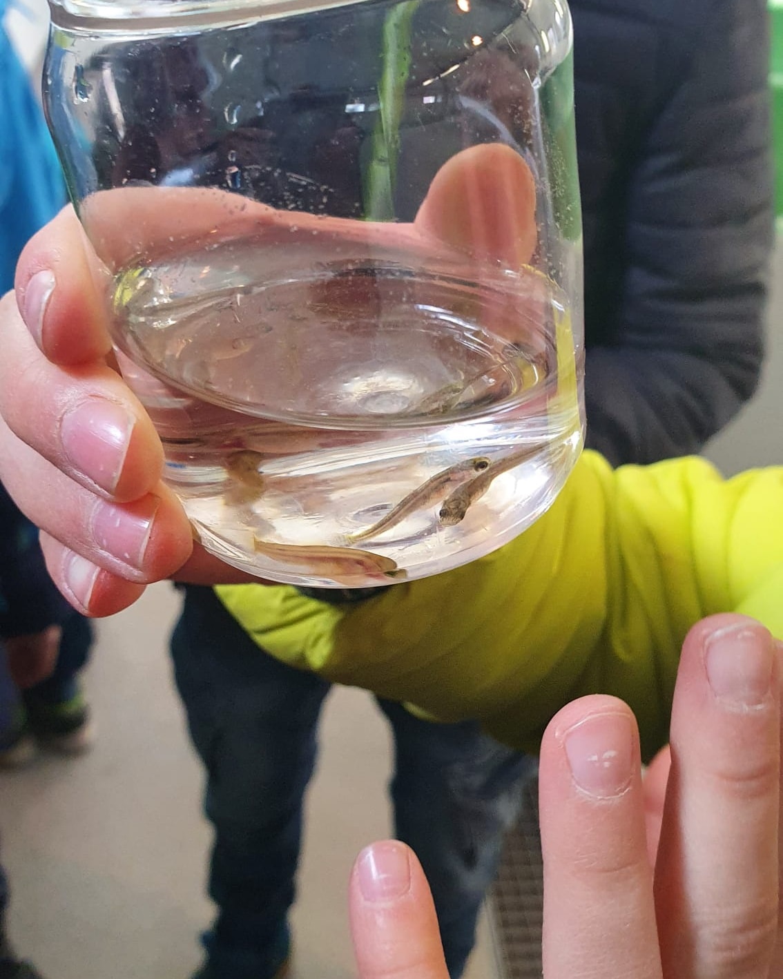 Fischzucht